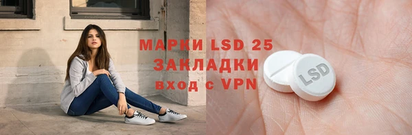ПСИЛОЦИБИНОВЫЕ ГРИБЫ Абаза