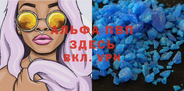 ПСИЛОЦИБИНОВЫЕ ГРИБЫ Абаза